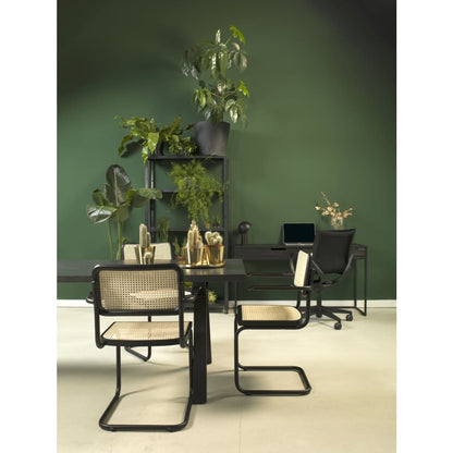 Sæt af 4 spisestole i rotandesign, sort, Bas